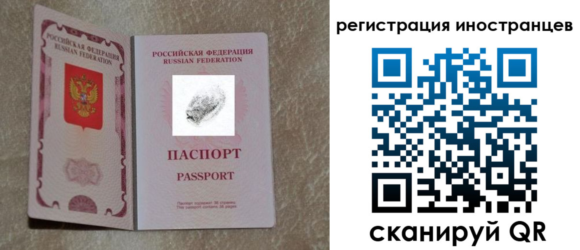 прописка законно в Амурской области