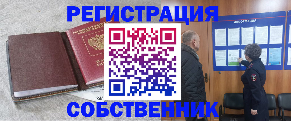 временная регистрация надежно в Амурской области